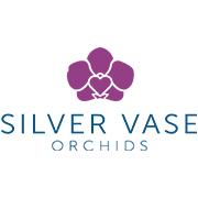 Silver-Vase-Orchids-tile